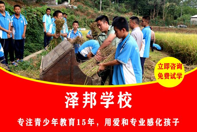 正规的封闭式学校教育意义