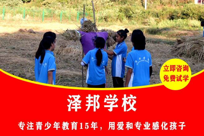 湖南十大叛逆学校排名