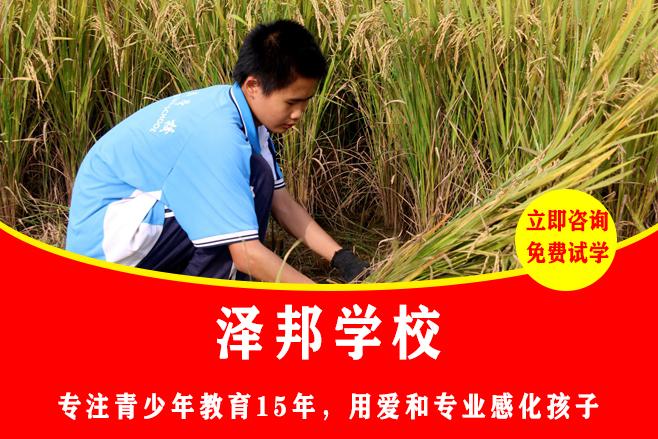 长沙专业全封闭式学校排行