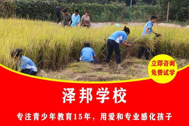 孩子在学校没人和他玩怎么开导