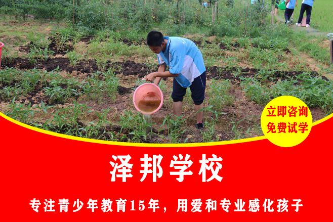 十三岁男孩不好好读书怎么办
