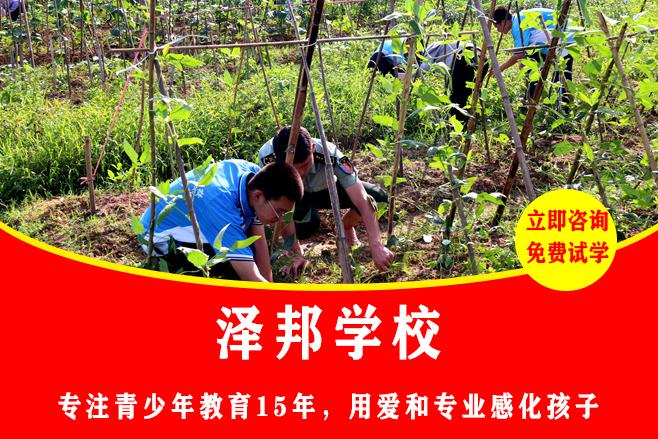 全封闭式管理叛逆孩子的学校｜半透明人性化管理，根治叛逆不压抑