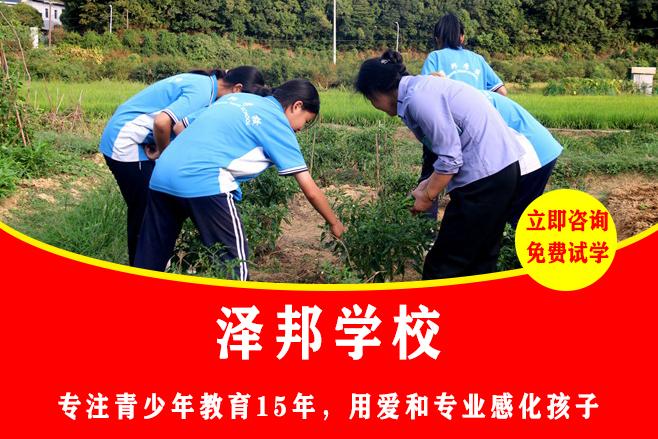 特训学校营｜泽邦沉浸式特训营，短期高效蜕变重塑少年风采