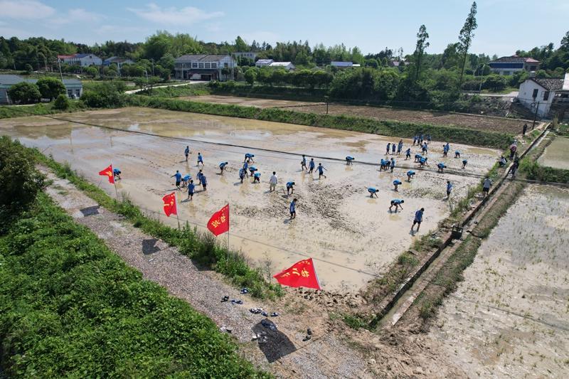 孩子跟着社会不良朋友游荡怎么办,长沙湘越中学引导远离不良圈子