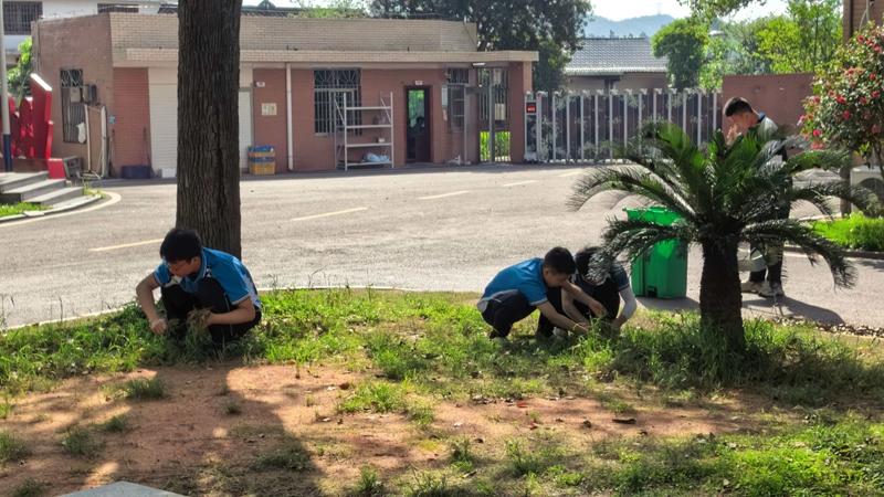 孩子宅家不上学昼夜玩游戏，长沙湘越中学心理引导陪伴